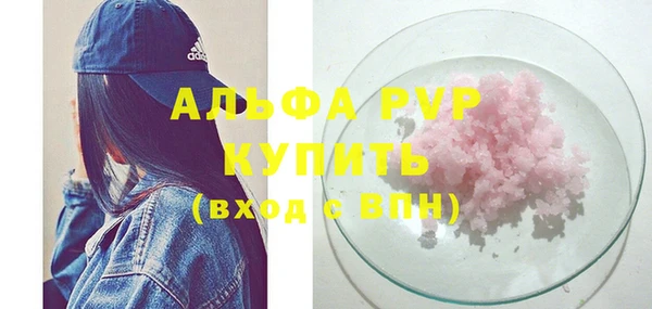 тгк Бородино