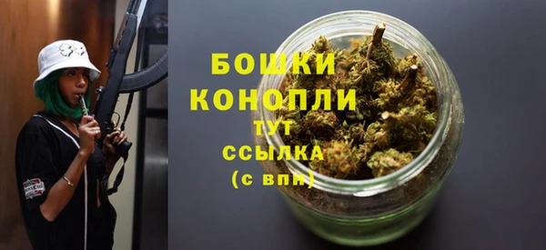 тгк Бородино