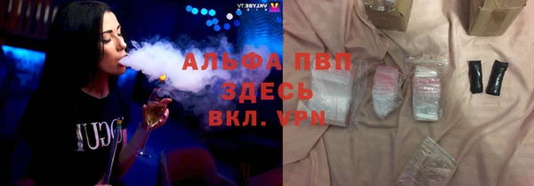 тгк Бородино
