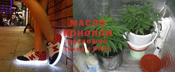 тгк Бородино