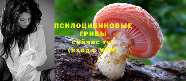 тгк Бородино