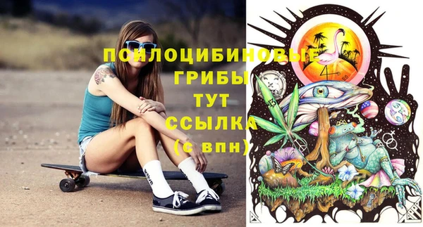 ALPHA-PVP Бугульма